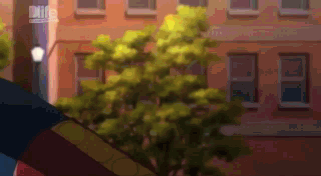 a blurry picture of a tree in front of a building with the word drive on it