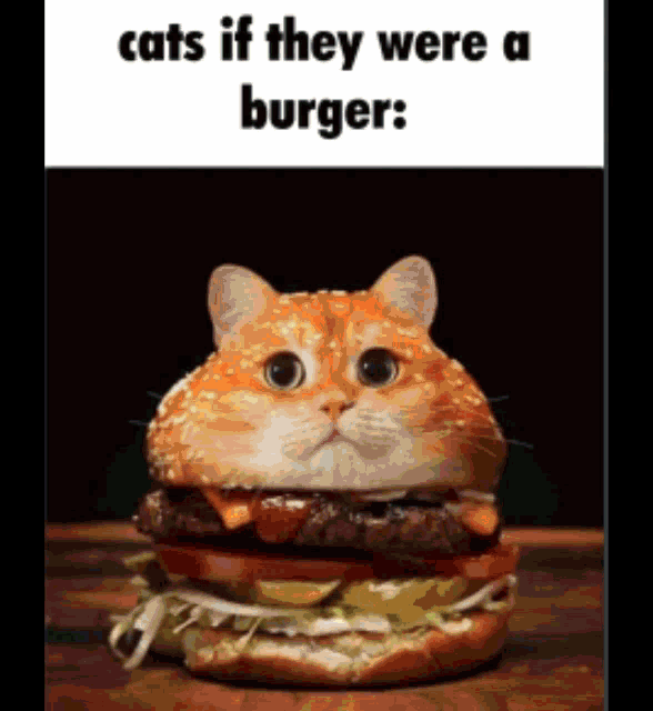 Cat Burger GIF - Cat Burger Enjoy Every Moment Death Is Unexpected GIFs