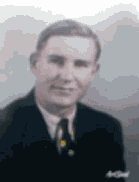 a man in a suit and tie is smiling for a picture .