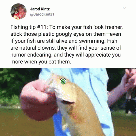 Jarod Kintz Dank Memes GIF - Jarod Kintz Dank Memes Fishing GIFs