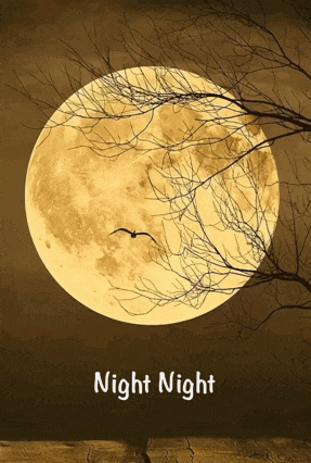 a full moon with a bird flying in front of it with the words night night below it