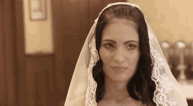 a woman in a wedding dress with a lace veil on her head
