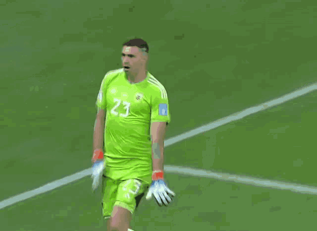 a soccer player wearing a green jersey with the number 23