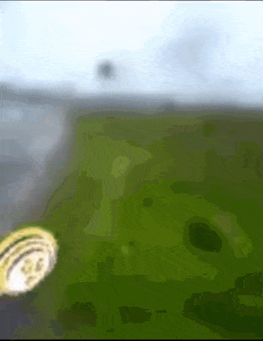 a blurred image of a green field with a coin in the foreground that says ' sd ' on it