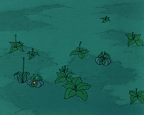 a bunch of white flowers are growing on a green background