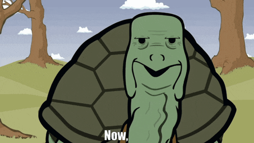 a cartoon of a turtle with the words now written below it
