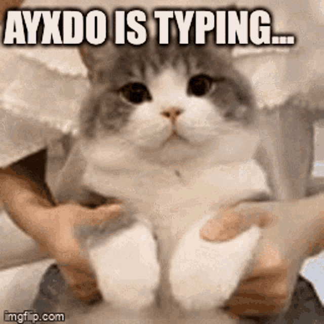 a cat is being held in someone 's arms and the caption ayxdo is typing