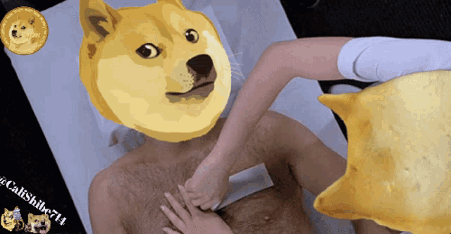 a picture of a man with a doge on his face
