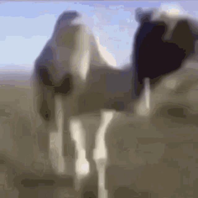 Camel Travelling GIF - Camel Travelling Animal GIFs