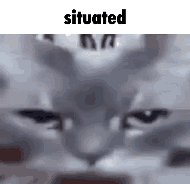 a close up of a cat 's face with the word situated above it .
