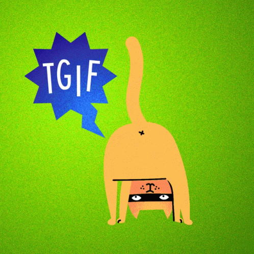 Cat Friday GIF - Cat Friday Weekend GIFs