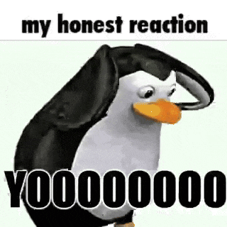 a penguin with a yellow beak is standing in front of a white background with the words `` my honest reaction y00000000 '' .