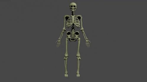 Skeleton Hi GIF - Skeleton Hi GIFs