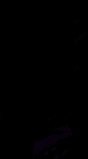 Goten Trunks GIF