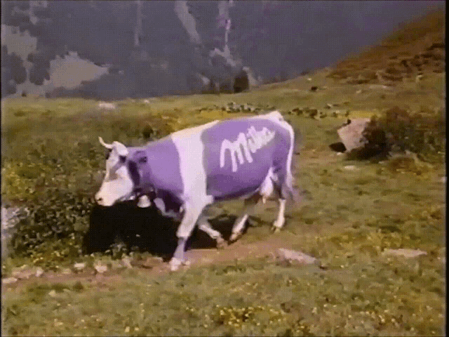 Milka Cow GIF - Milka Cow Kuh GIFs