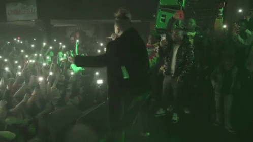 Musician Taking On The Stage GIF - Musician Taking On The Stage Crowd GIFs