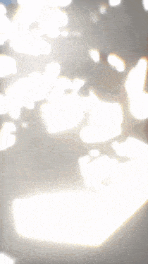 a blurred image of a person 's face with the letter g visible
