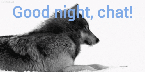a black and white photo of a wolf with the words " good night chat " above it