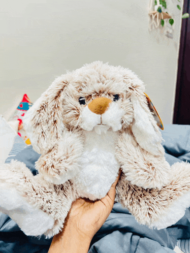 a person is holding a stuffed bunny rabbit with a tag on it