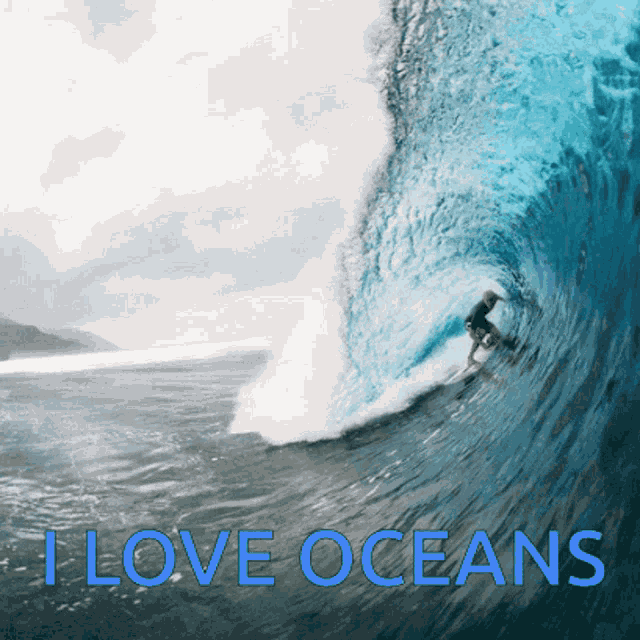 I Love The Ocean Waves GIF - I Love The Ocean Waves Surfing GIFs