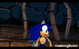 sonic the hedgehog and shadow the hedgehog are talking in a video game