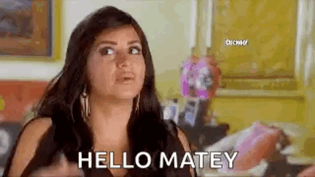 a woman is sitting on a couch in a living room and saying hello matey .