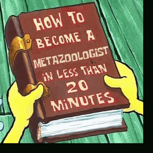 Metazoo Metazoologist GIF - Metazoo Metazoologist Metazoo Quiz GIFs