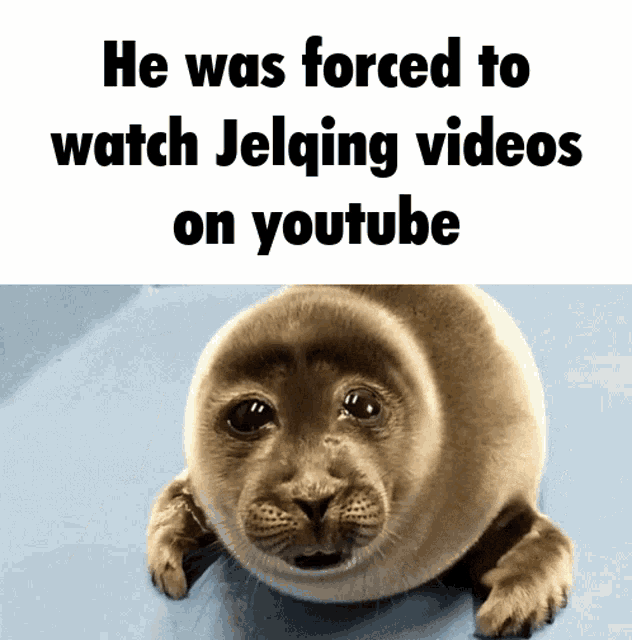 Jelqing Sad Seal GIF - Jelqing Sad Seal Seal GIFs