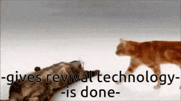 two cats are walking next to each other with the words gives revival technology is done