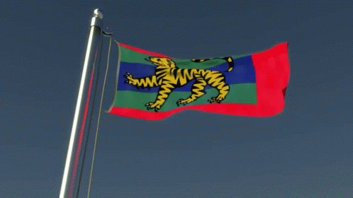 Waving Flag Flag GIF - Waving Flag Flag Tiger GIFs