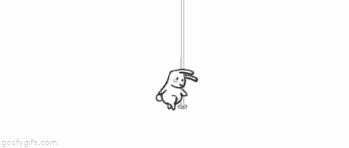 Bunny Pole GIF