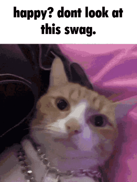 a cat with a chain around its neck is laying on a bed with the caption happy ? dont look at this swag ..