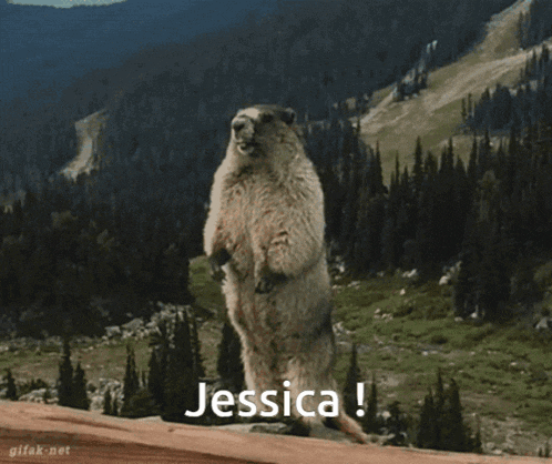 a groundhog standing on its hind legs with the name jessica on the bottom right