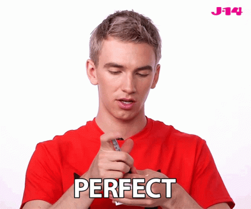 Perfect Flawless GIF - Perfect Flawless Excellent GIFs