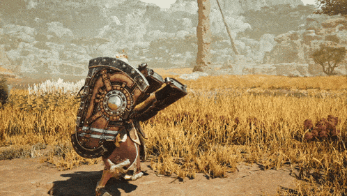 a person standing in a field holding a shield