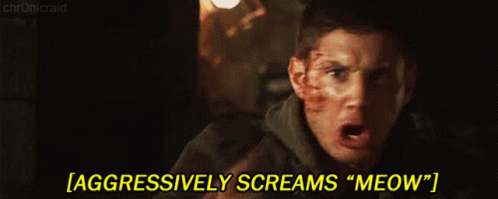 Tv Shows Supernatural GIF - Tv Shows Supernatural Dean Winchester GIFs