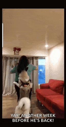 a woman is holding a dog on her shoulders in a living room with a red couch in the background
