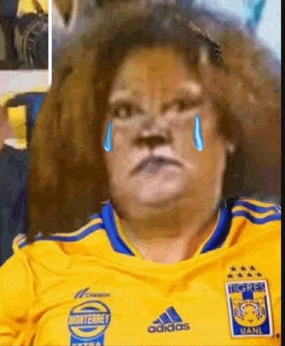 a woman in a yellow and blue jersey with a tear coming out of her eye .
