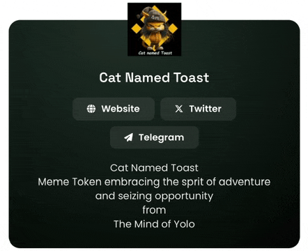 a cat named toast meme token embraces the spirit of adventure and seizing opportunity from the mind of yolo