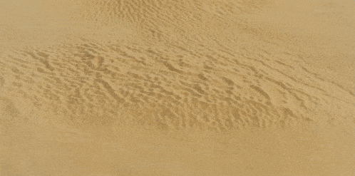Dune Dune2021 GIF - Dune Dune2021 Atreides GIFs