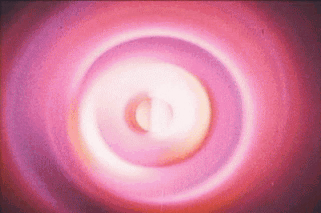 a pink and purple circle with a white circle in the middle