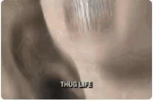 Thug Life GIF - Thug Life Happy GIFs