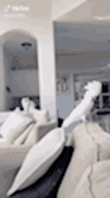 a white parrot is perched on a couch in a living room .