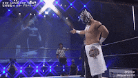 a man in a mask is standing in a wrestling ring holding a sword