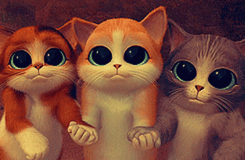 Kittens Please GIF - Kittens Please Come On GIFs