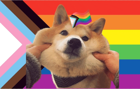 a dog with a rainbow flag on its head is being petted