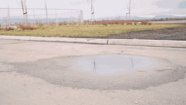 a man wearing a hat with the letter s on it is falling off his skateboard