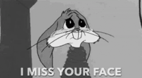 I Miss Your Face Looney Tunes GIF - I Miss Your Face Looney Tunes Bunny GIFs