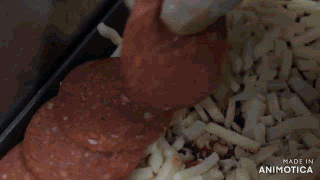 a close up of sliced pepperoni and shredded cheese with the words made in animotica in the corner