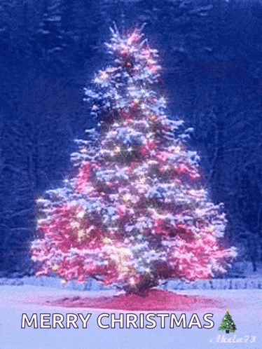 a merry christmas card with a christmas tree
